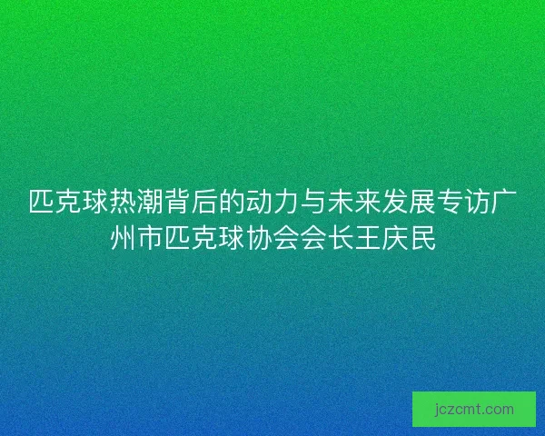 匹克球热潮背后的动力与未来发展专访广州市匹克球协会会长王庆民 匹克球热潮背后的动力与未来发展专访广州市匹克球协会会长王庆民